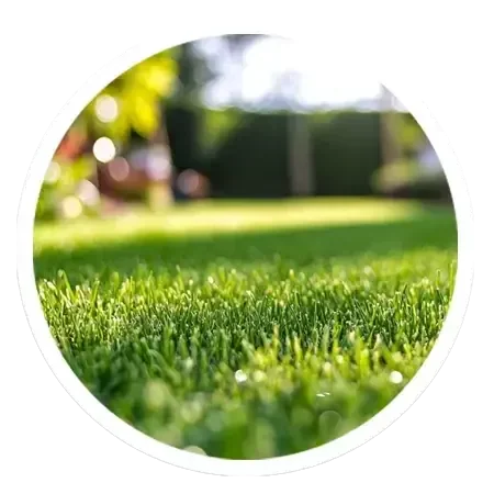 20mm Bicolor